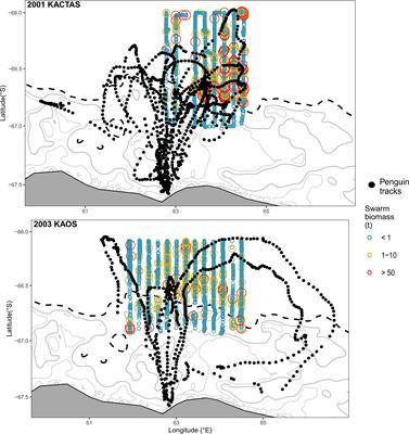 Spatial link between Adélie penguin foraging effort and krill swarm abundance and distribution